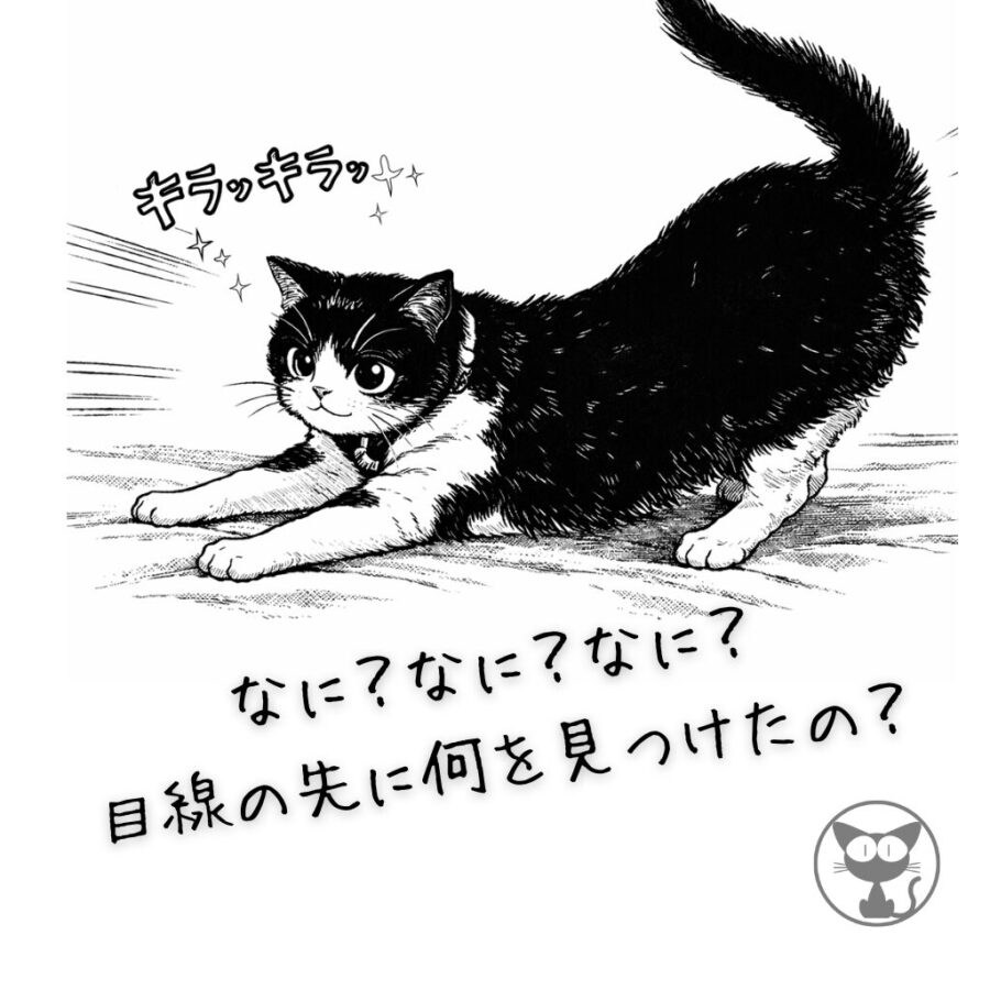 うちのハチワレ猫さんのイラスト