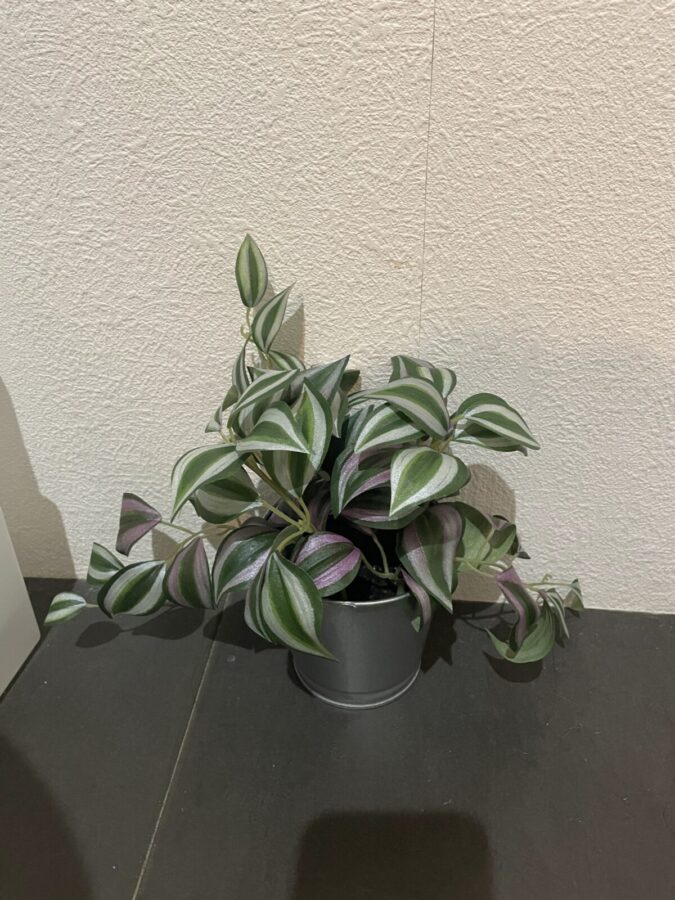 IKEAで買ったフェイクグリーン