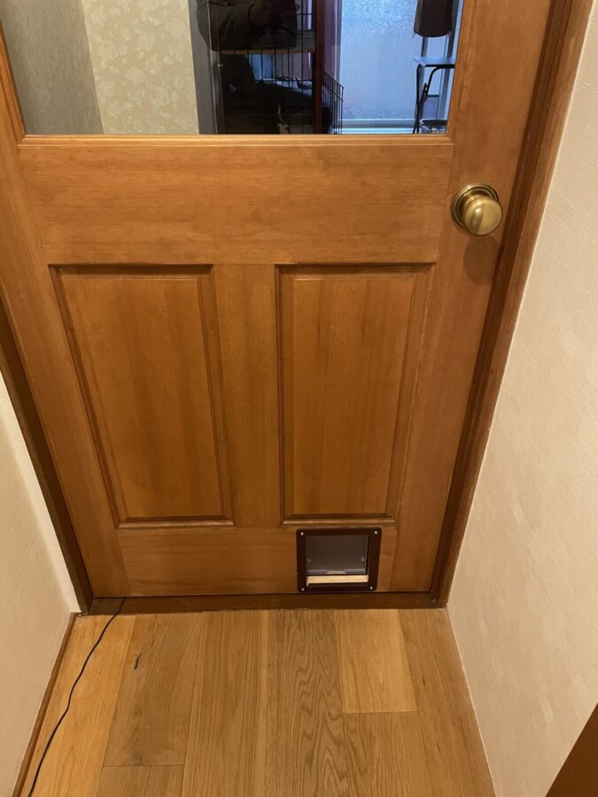 全く使わない猫ドア