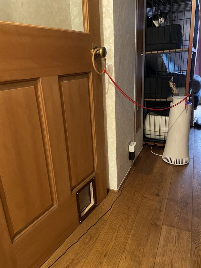 全く使わない猫ドア