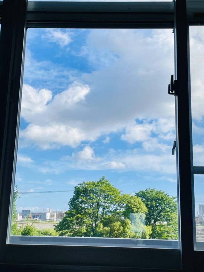 キッチンの窓からの眺め(昼)